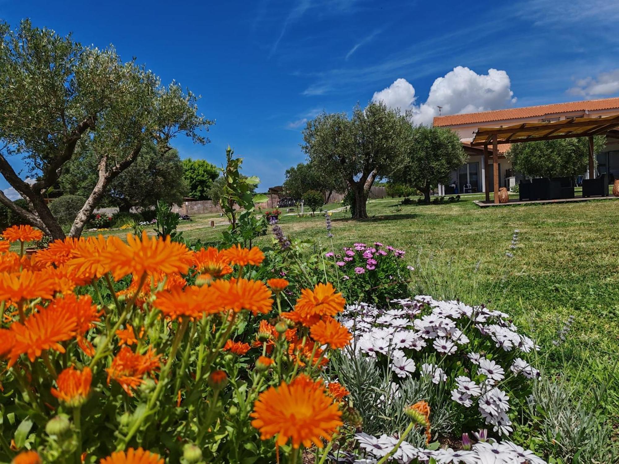 Residence La Pace - Pool & Relax Marina di Grosseto Exterior foto