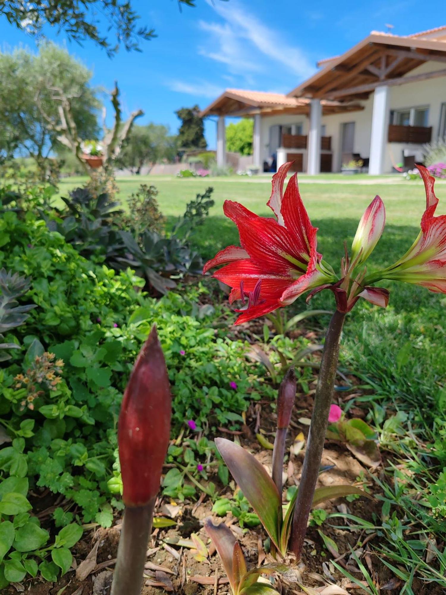 Residence La Pace - Pool & Relax Marina di Grosseto Exterior foto